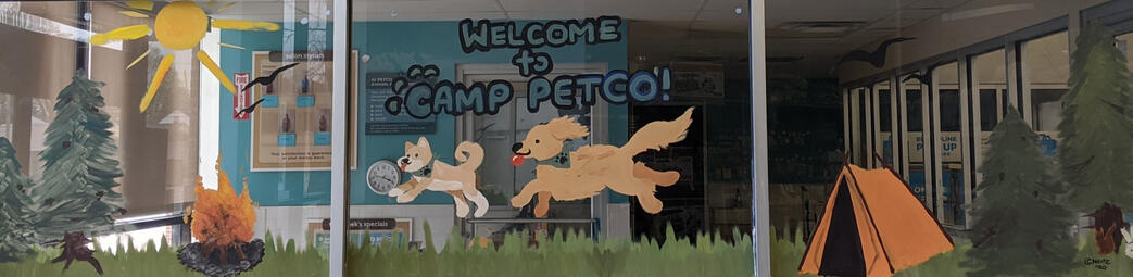 Camp Petco Mural